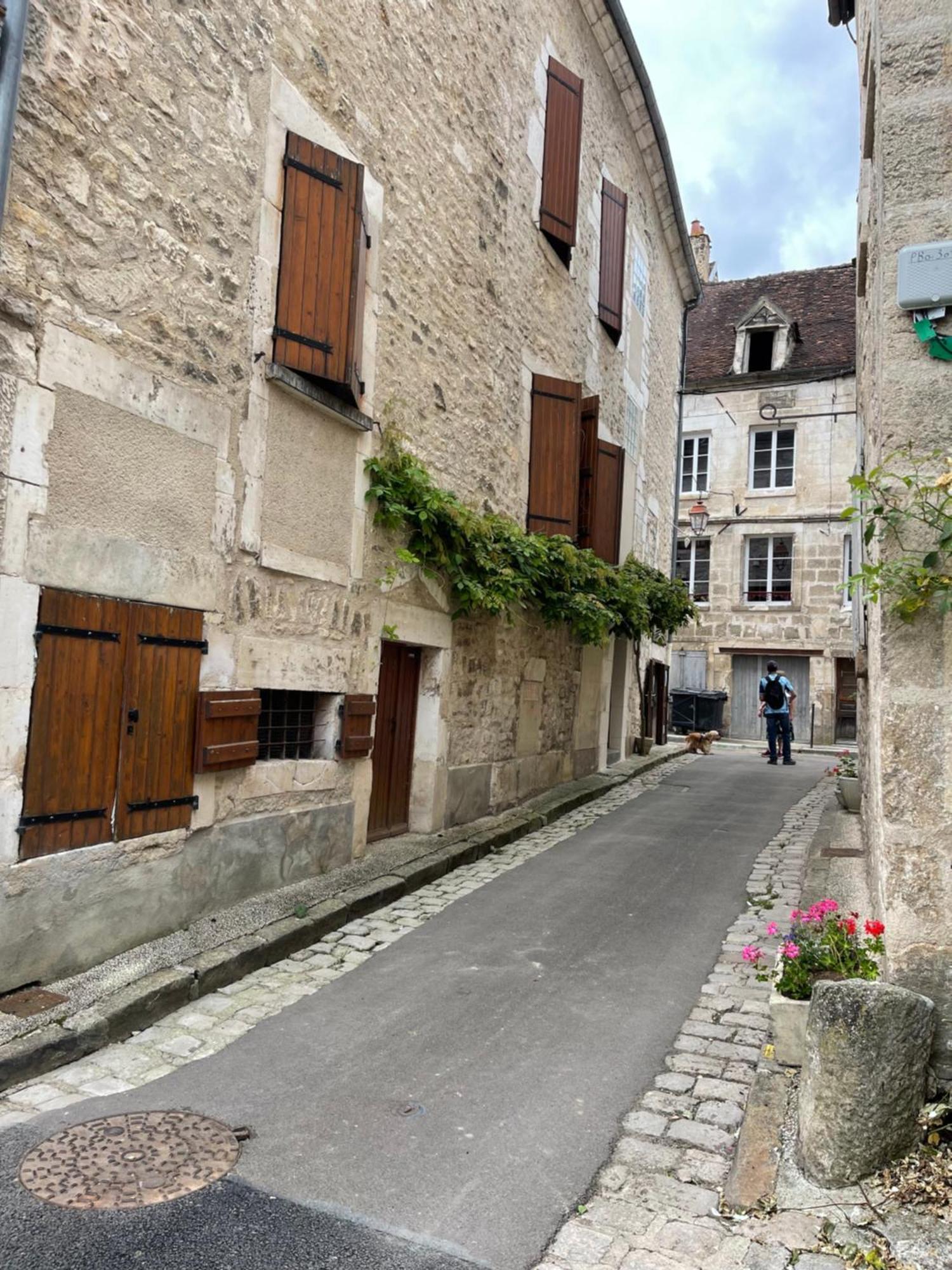 La Maison D'Alienor - Gites De Caractere A Chablis - 89 外观 照片